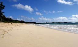 Oahu Vacation Ideas, Oahu Beach Party Rentals, Oahu Family Activities